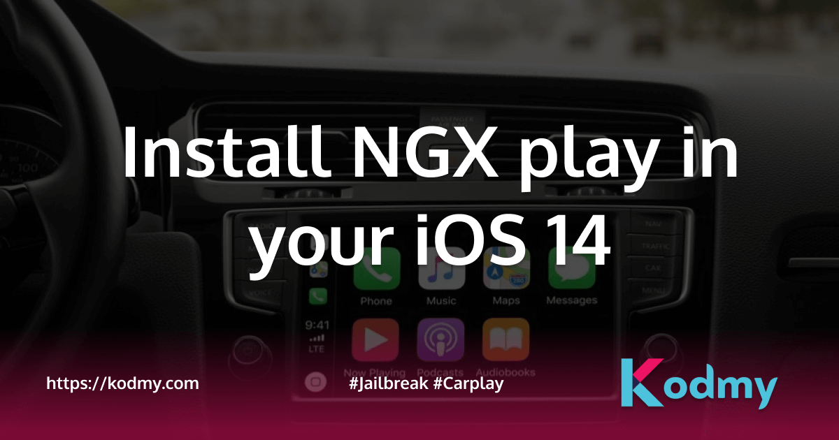 Install NGX play in your iOS 14