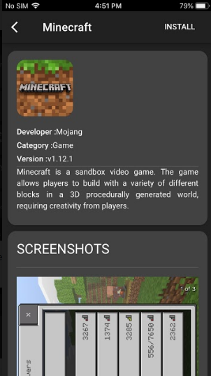 Download Minecraft to iOS for free