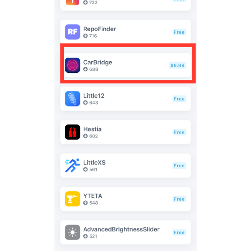 Download & Install Carbridge App on iOS 16