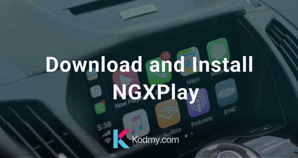 Install NGXPlay on iOS 16